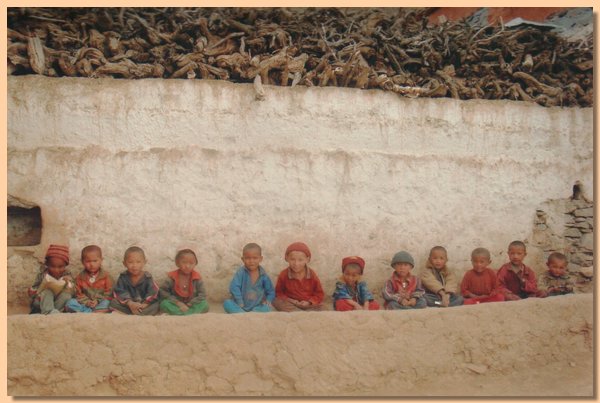 Die kleinen Trapas sitzen in einer Reihe vor der Klostermauer.jpg