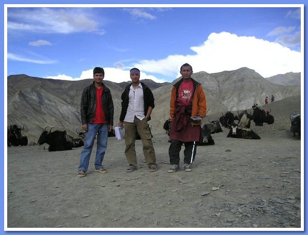 Drei Lehrer und die zum Transport bereiten Yaks.JPG
